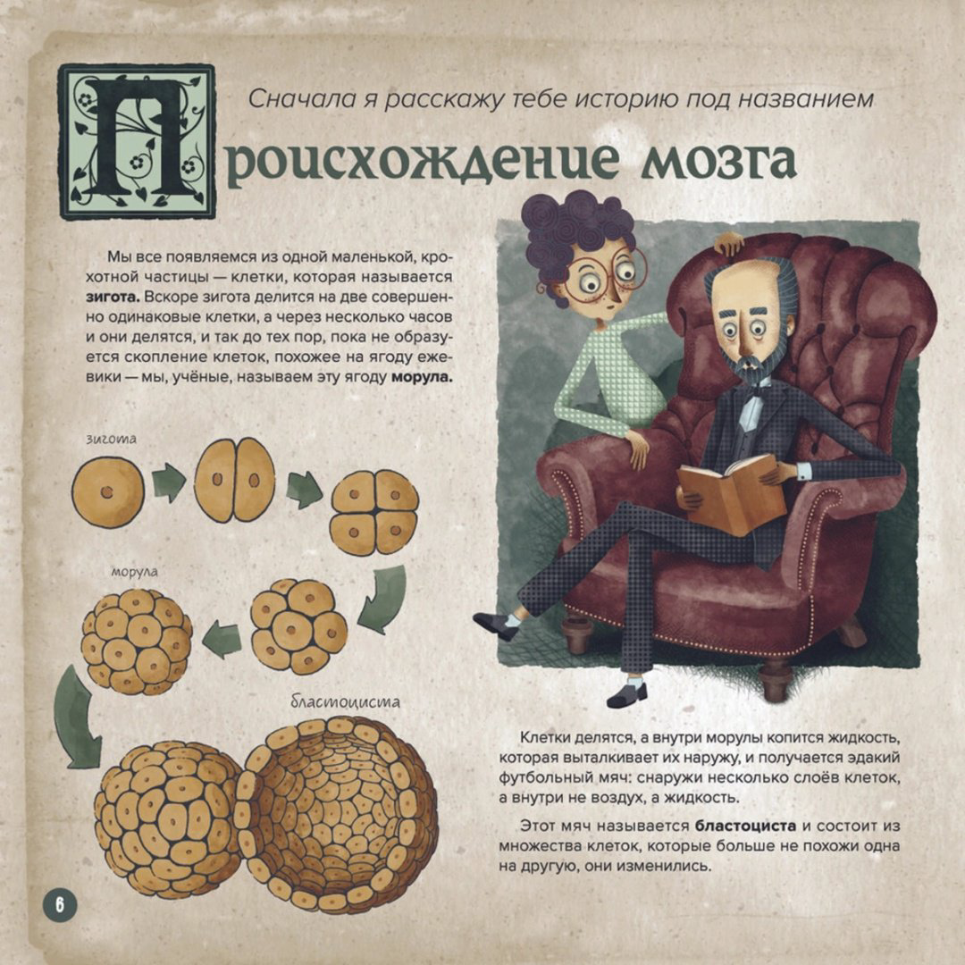 Книга Барречегурен Б.: Объясняет д-р Сантьяго Рамон-и-Кахаль купить,NaN