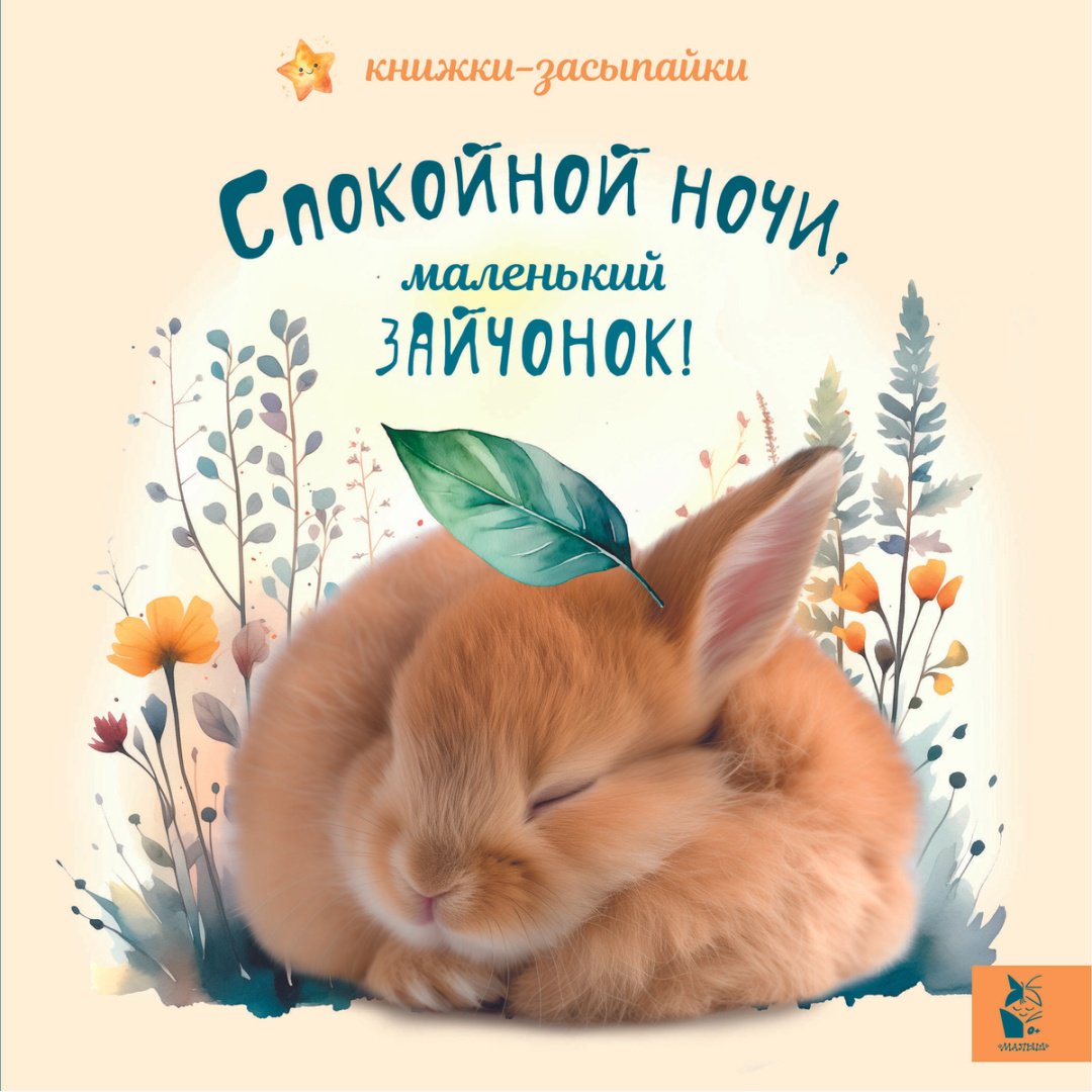 Книга Спокойной ночи, маленький зайчонок! купить,NaN