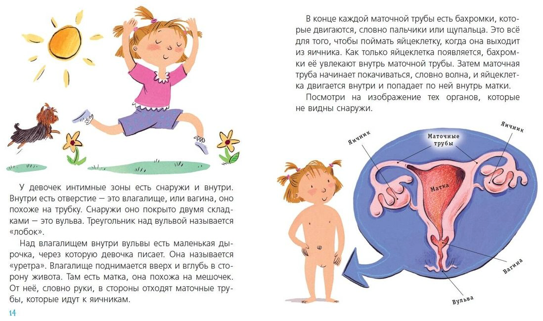 Книга Зальц Г.: Наш первый разговор об ЭТОМ купить,NaN
