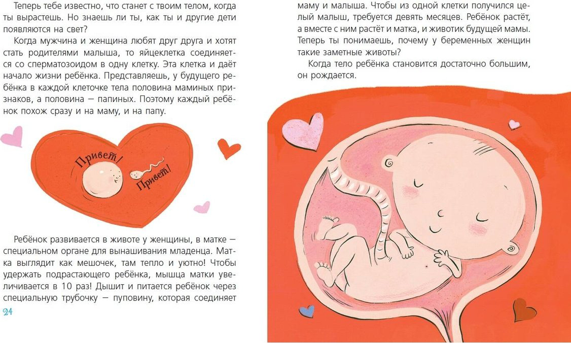 Книга Зальц Г.: Наш первый разговор об ЭТОМ купить,NaN