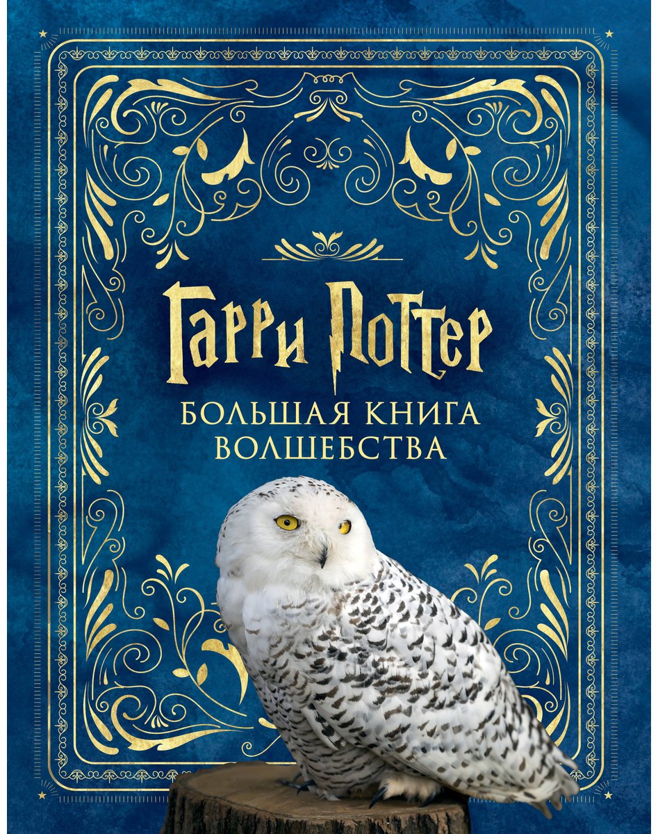 Книга Гарри Поттер.&nbsp;Большая книга волшебства купить,NaN