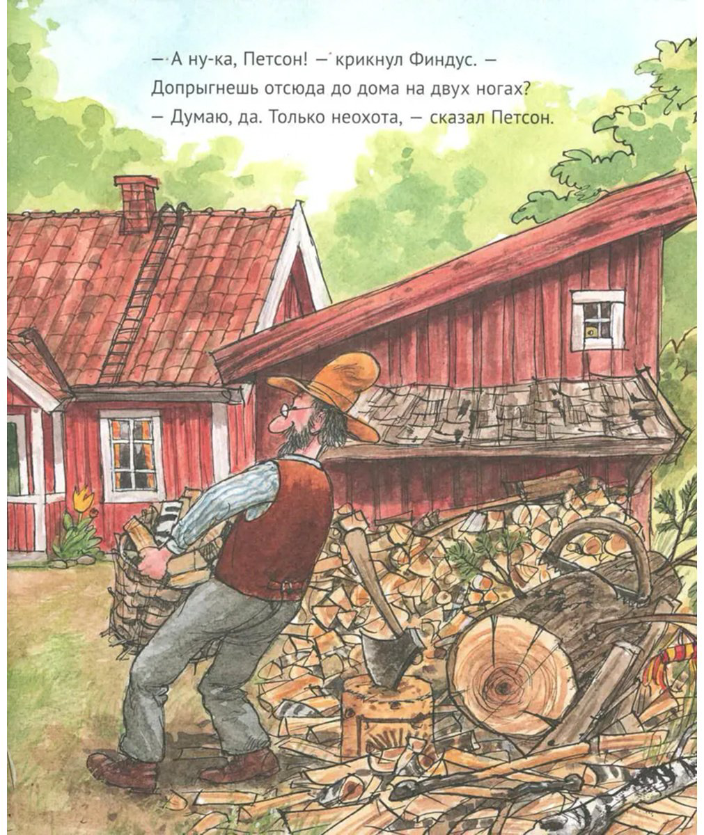 Книга Нурдквист С.: А ну-ка, Петсон! купить,NaN
