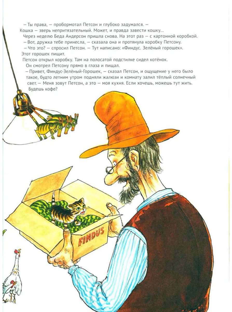 Книга Нурдквист С.: История о том как Финдус потерялся, когда был маленький купить,NaN