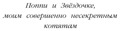 Книга Вебб Х.: Котенок Кэтти, или Секрет в шкафу купить,NaN