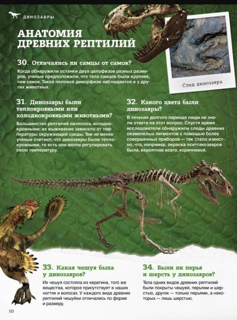 Книга Без автора: Школьная энциклопедия: 200 вопросов и ответов купить,NaN