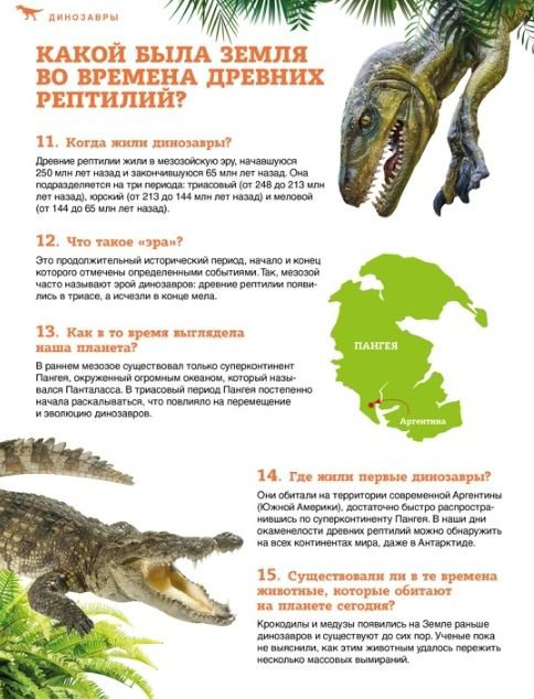 Книга Без автора: Школьная энциклопедия: 200 вопросов и ответов купить,NaN
