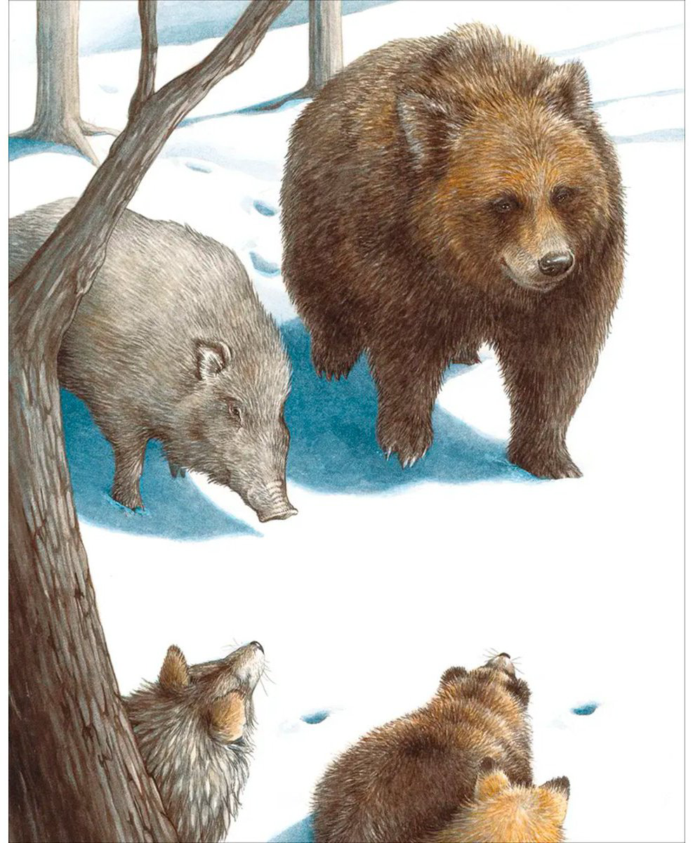 Книга Симоковара Юми: Мы обязательно встретимся! купить,NaN