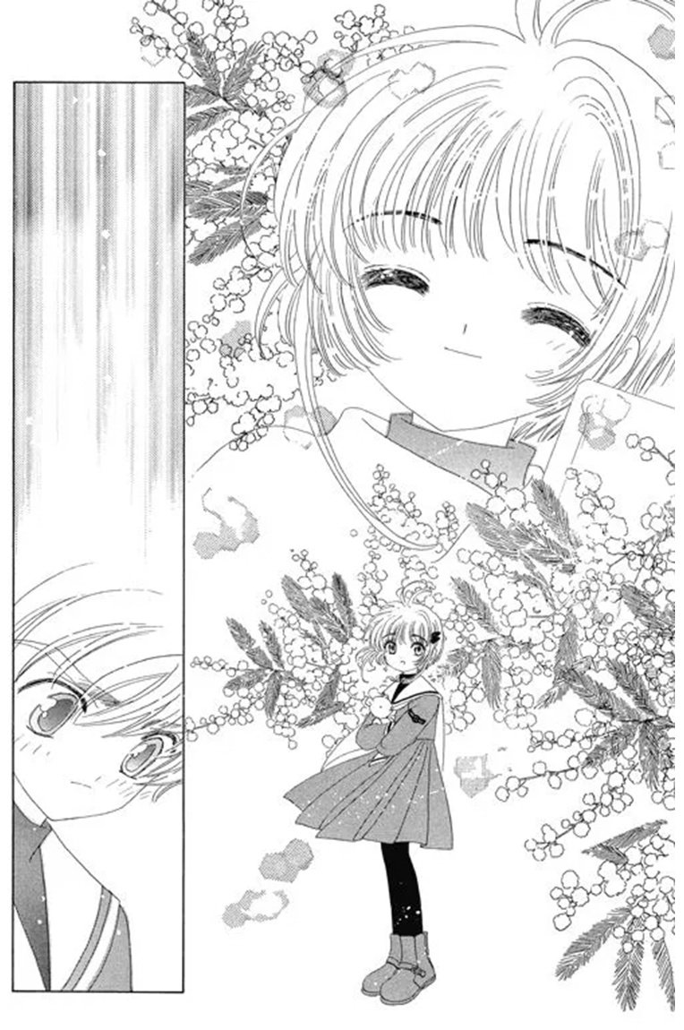 Книга CLAMP: Сакура, собирательница карт.&nbsp;Том 6 купить,NaN