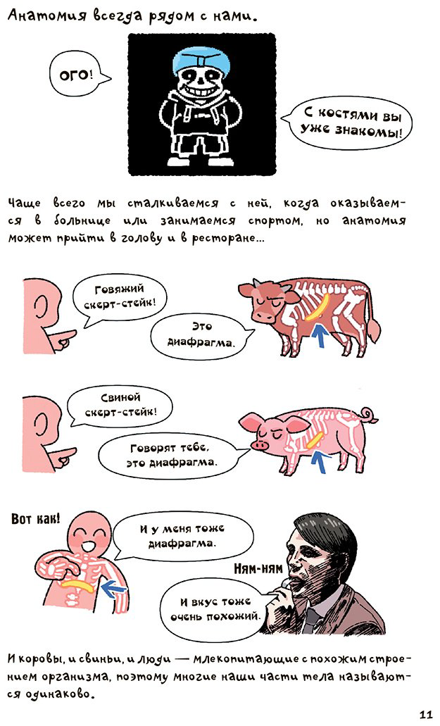 Книга Абдулла: Невероятно наглядная анатомия купить,NaN