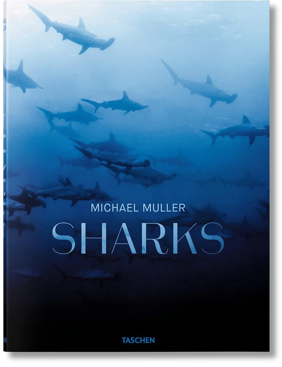 Книга Michael Muller.&nbsp;Sharks купить,NaN