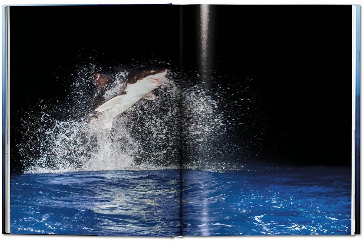 Книга Michael Muller.&nbsp;Sharks купить,NaN