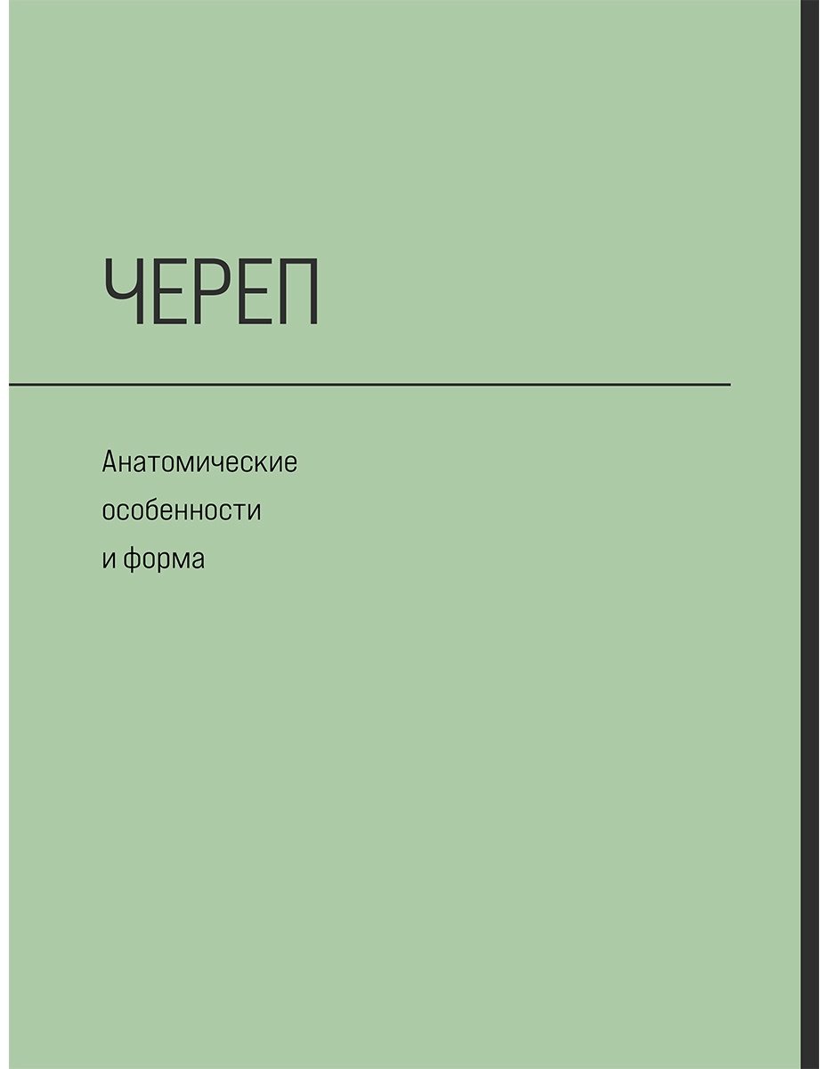 Книга Кочу А.: Голова человека. Академический рисунок купить,NaN