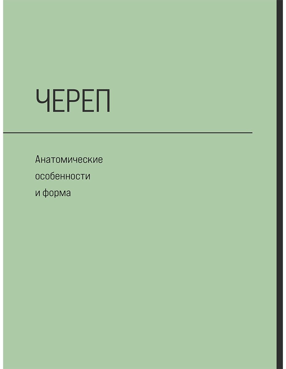 Книга Кочу А.: Голова человека. Академический рисунок купить,NaN