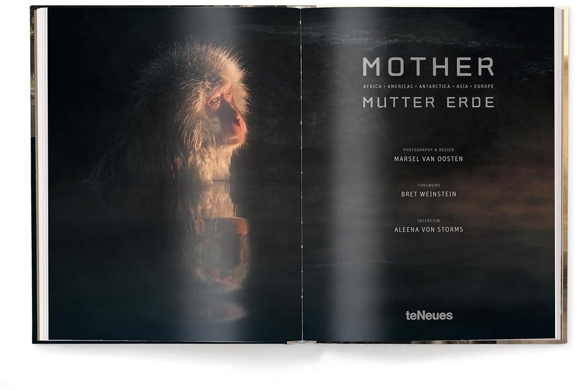 Книга Mother - A Tribute to Mother Earth купить,NaN