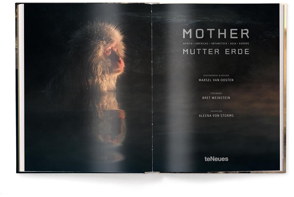 Книга Mother - A Tribute to Mother Earth купить,NaN