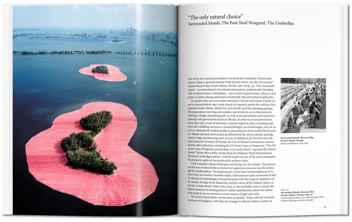 Книга Баал-Тешува Я.: Christo and Jeanne-Claude купить,NaN