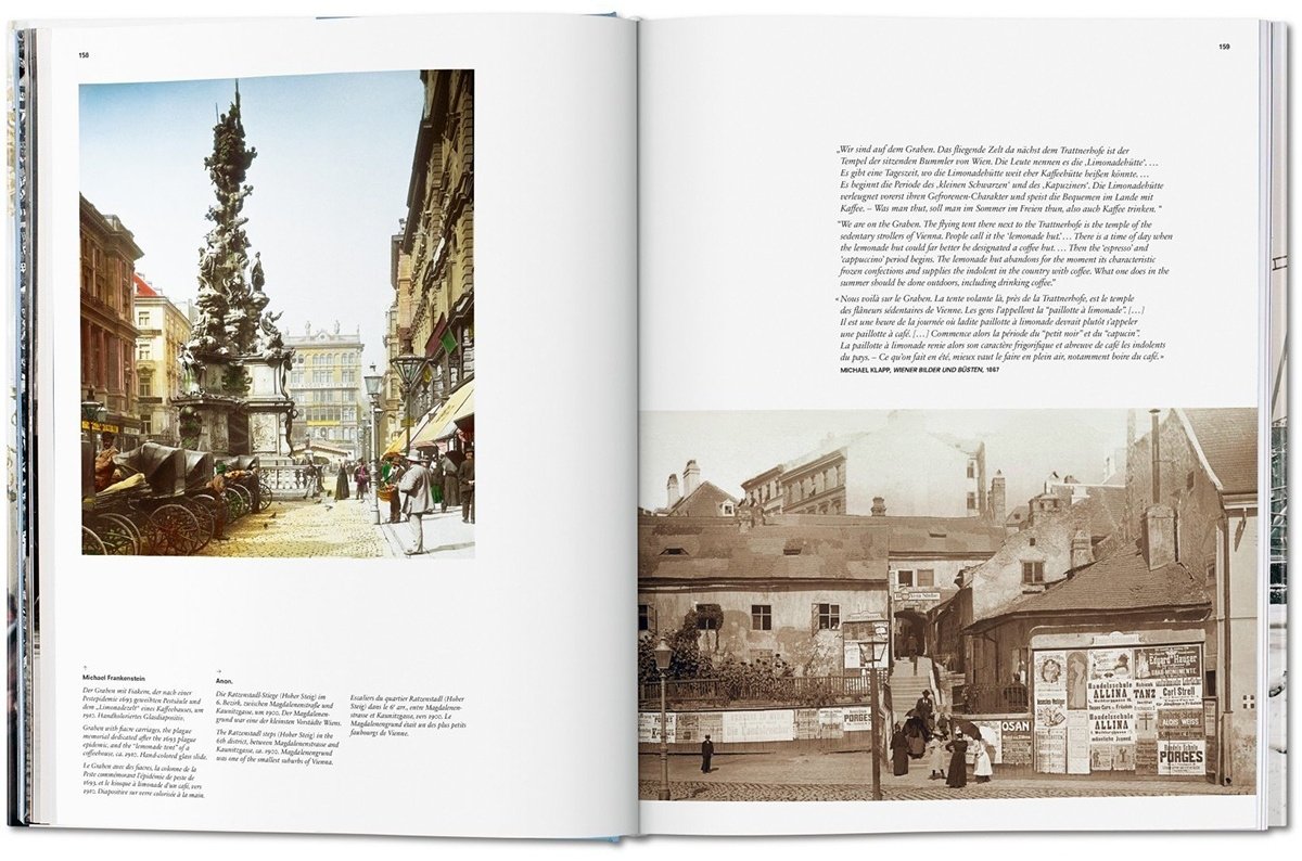 Книга Vienna.&nbsp;Portrait of a City купить,NaN