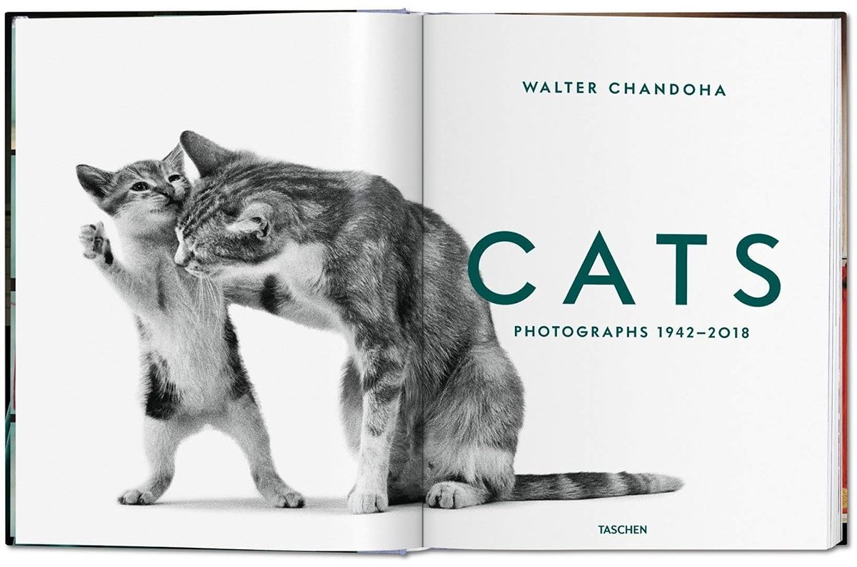Книга Без автора: Walter Chandoha.&nbsp;Cats. Photographs 1942-2018 купить,NaN