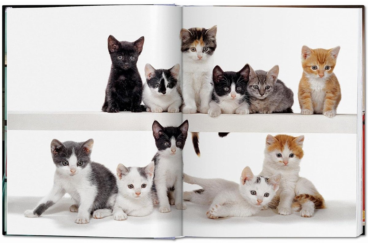 Книга Без автора: Walter Chandoha.&nbsp;Cats. Photographs 1942-2018 купить,NaN