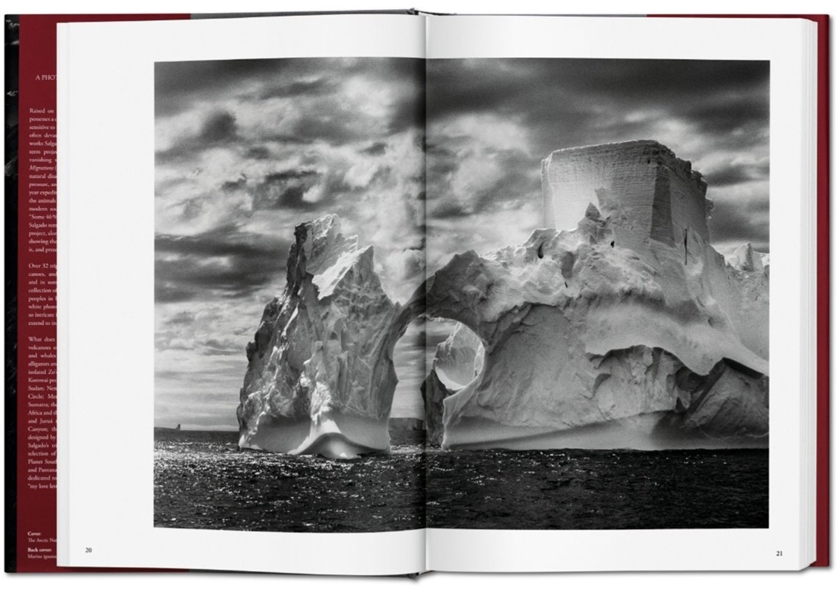 Книга Без автора: Sebastiao Salgado.&nbsp;Genesis купить,NaN