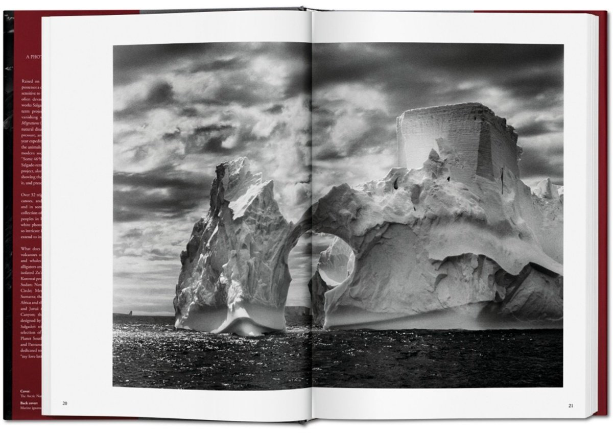 Книга Без автора: Sebastiao Salgado.&nbsp;Genesis купить,NaN