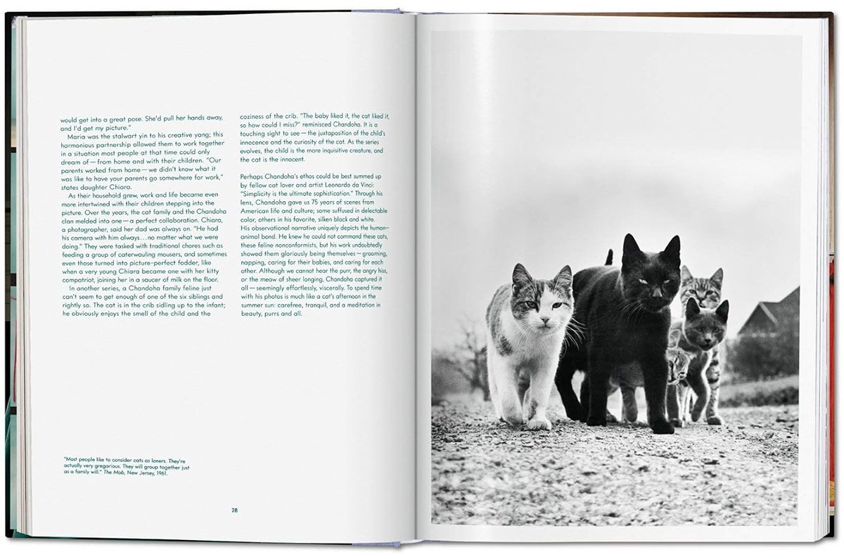 Книга Без автора: Walter Chandoha.&nbsp;Cats. Photographs 1942-2018 купить,NaN