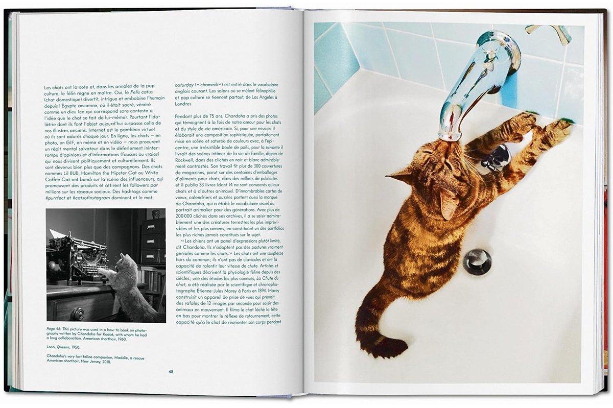 Книга Без автора: Walter Chandoha.&nbsp;Cats. Photographs 1942-2018 купить,NaN