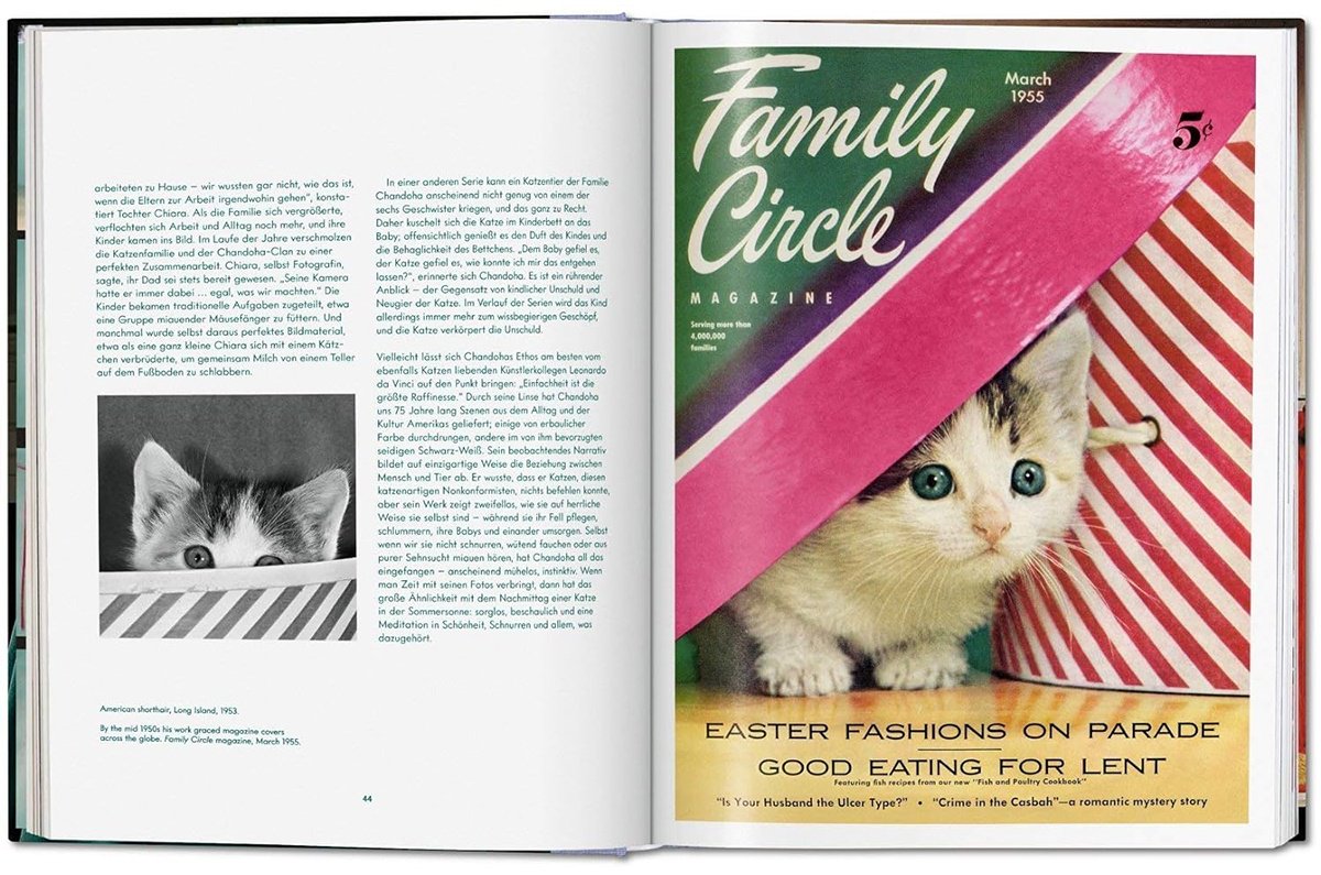 Книга Без автора: Walter Chandoha.&nbsp;Cats. Photographs 1942-2018 купить,NaN