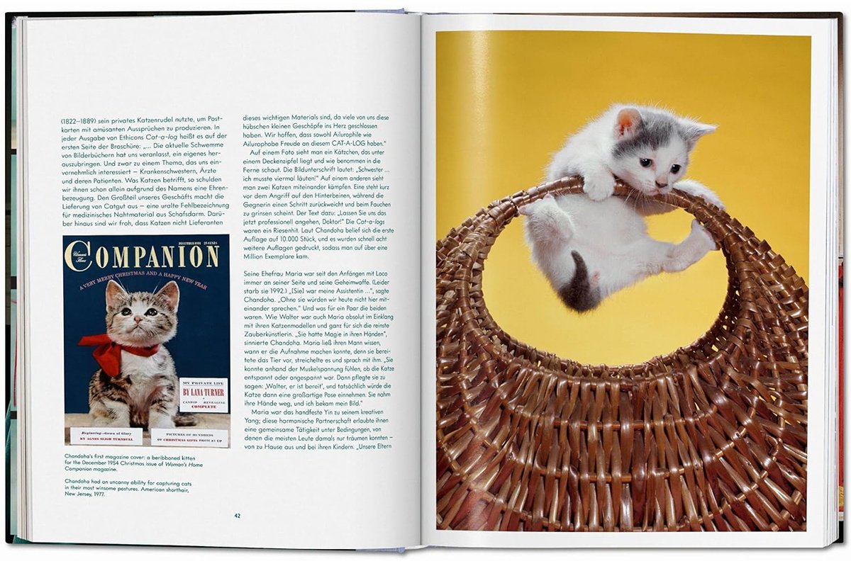 Книга Без автора: Walter Chandoha.&nbsp;Cats. Photographs 1942-2018 купить,NaN