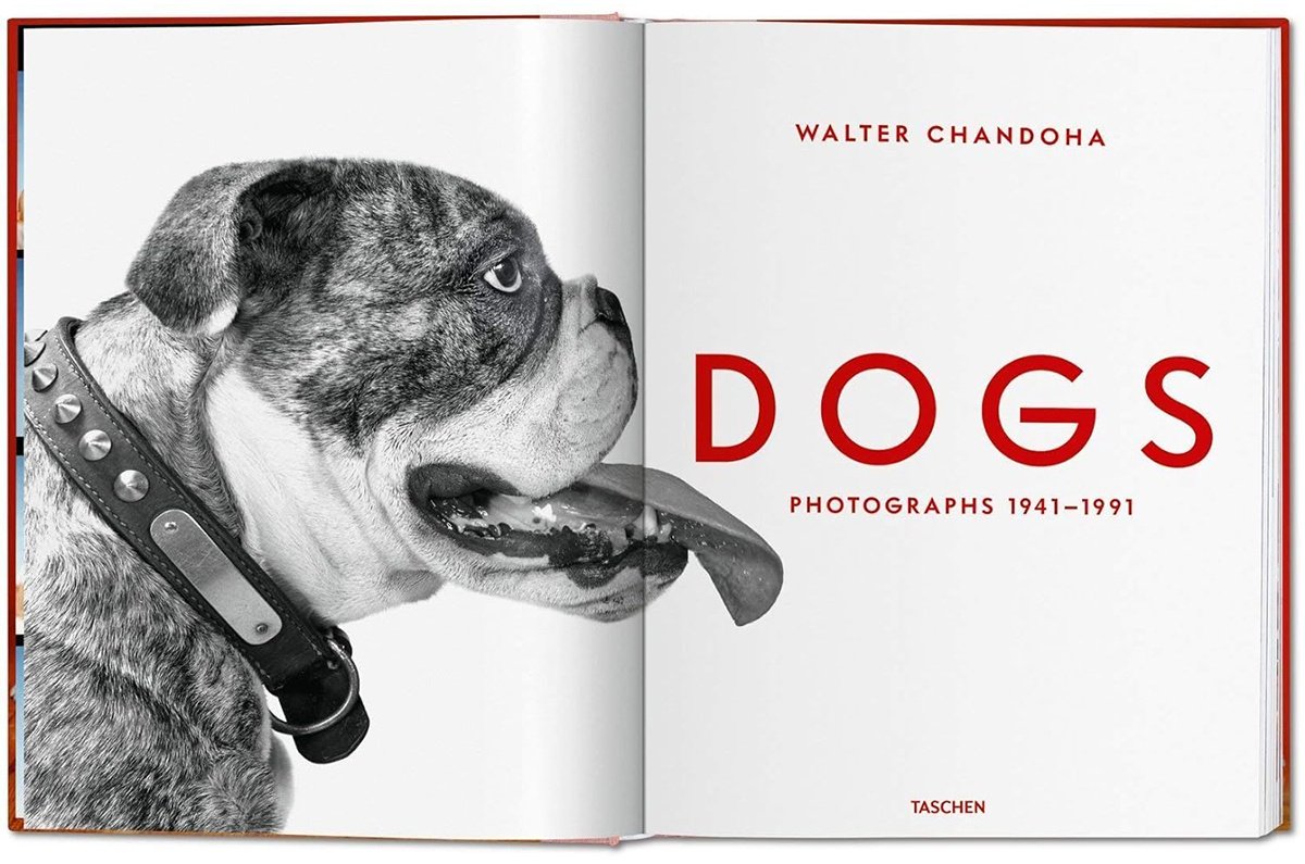 Книга Walter Chandoha.&nbsp;Dogs. Photographs 1941-1991 купить,NaN
