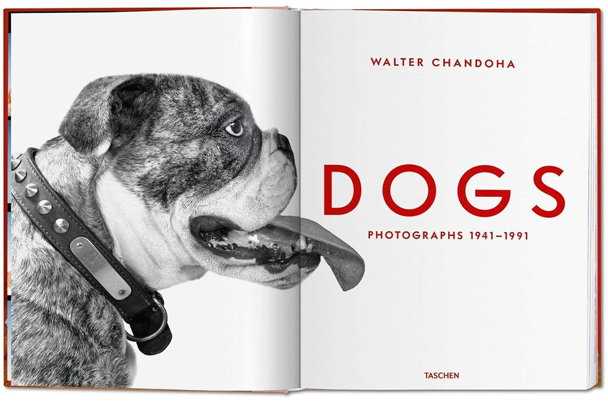 Книга Walter Chandoha.&nbsp;Dogs. Photographs 1941-1991 купить,NaN