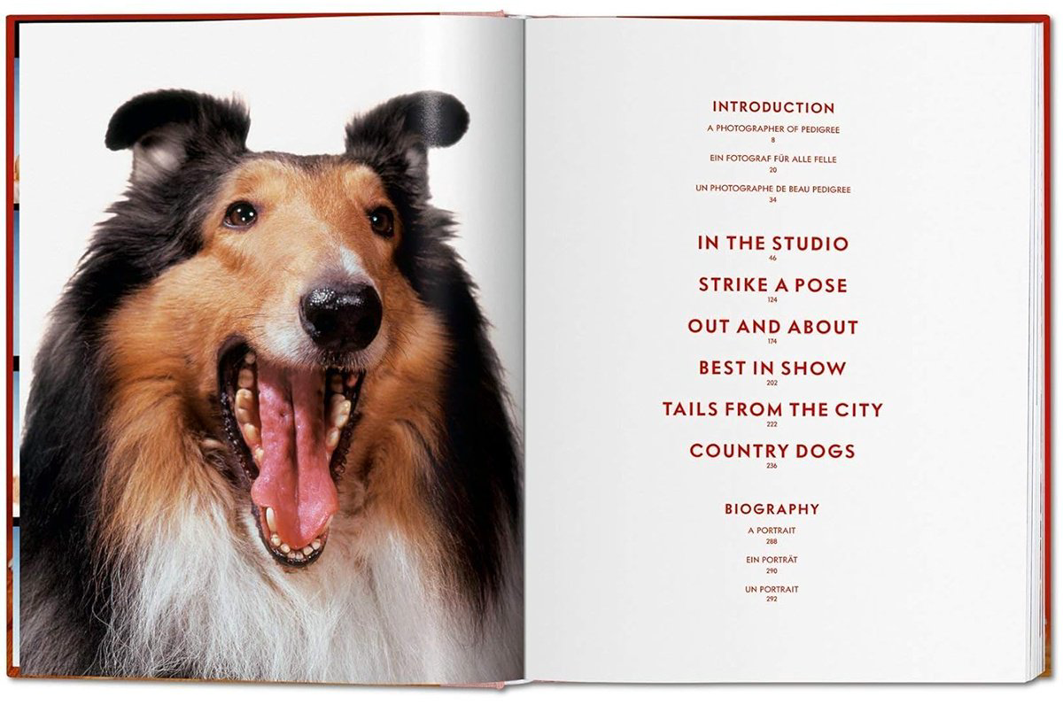 Книга Walter Chandoha.&nbsp;Dogs. Photographs 1941-1991 купить,NaN