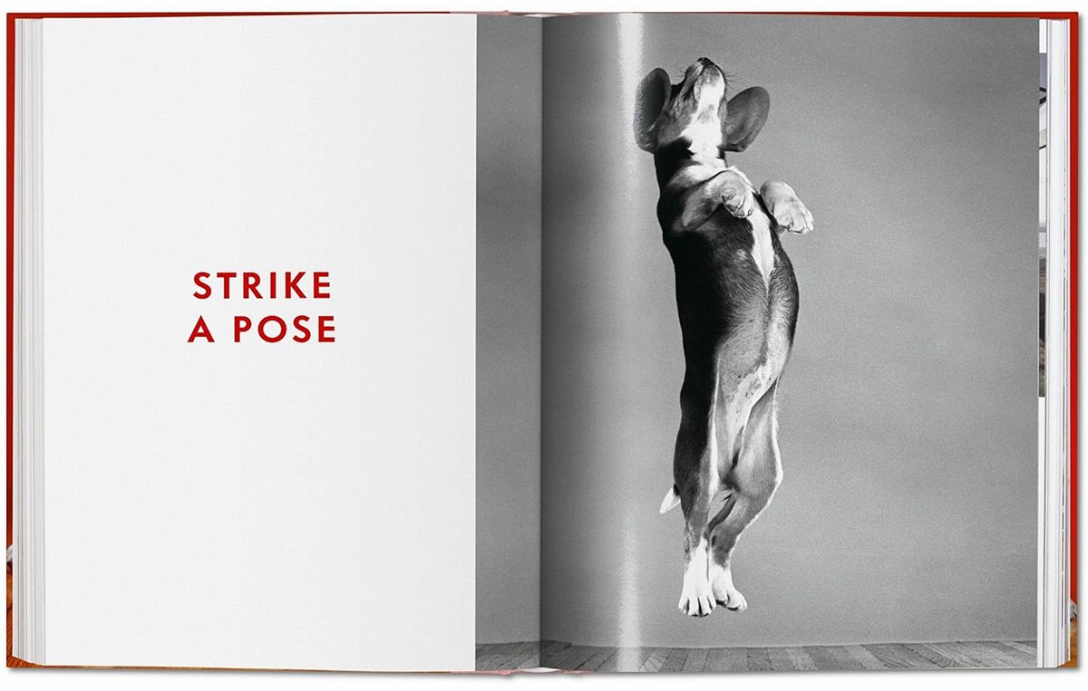 Книга Walter Chandoha.&nbsp;Dogs. Photographs 1941-1991 купить,NaN