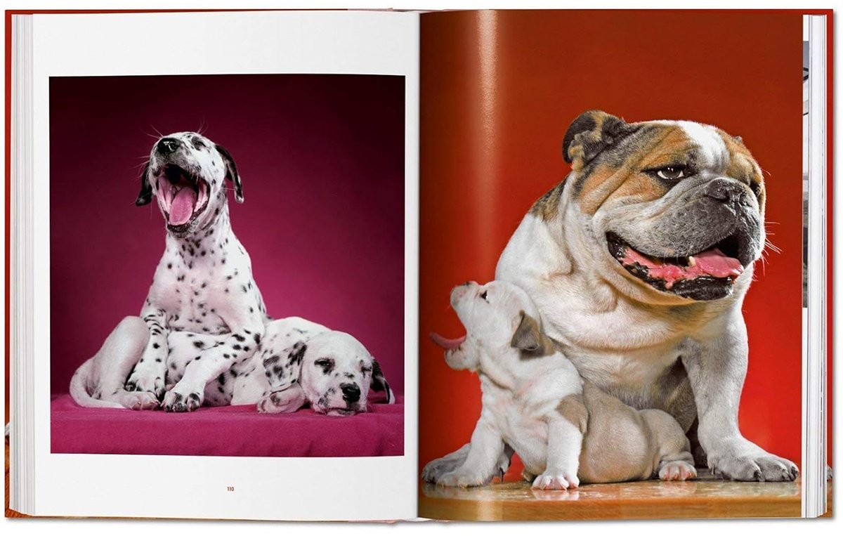 Книга Walter Chandoha.&nbsp;Dogs. Photographs 1941-1991 купить,NaN
