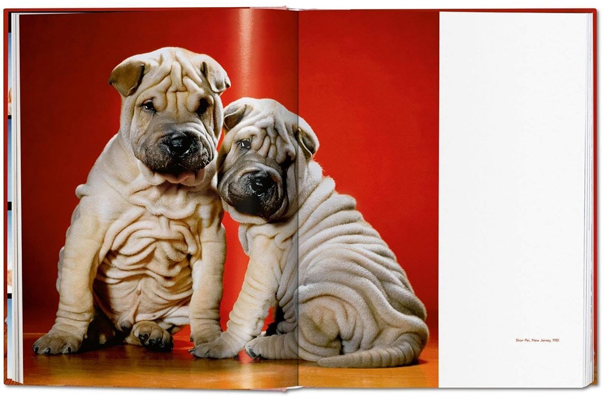 Книга Walter Chandoha.&nbsp;Dogs. Photographs 1941-1991 купить,NaN