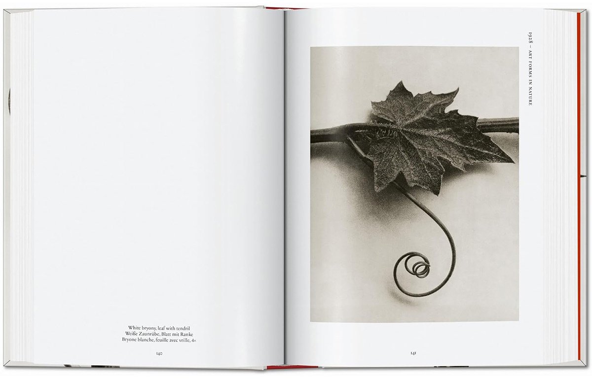 Книга Без автора: Karl Blossfeldt.&nbsp;The Complete Published Work. 40th Ed. купить,NaN