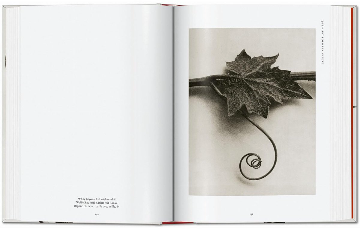 Книга Без автора: Karl Blossfeldt.&nbsp;The Complete Published Work. 40th Ed. купить,NaN