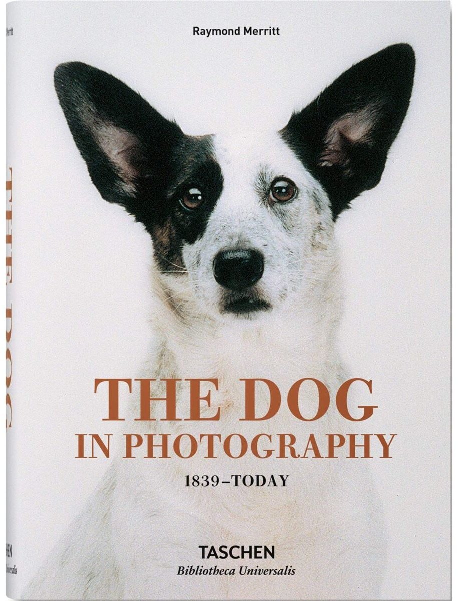 Книга The Dog in Photography 1839-Today купить,NaN