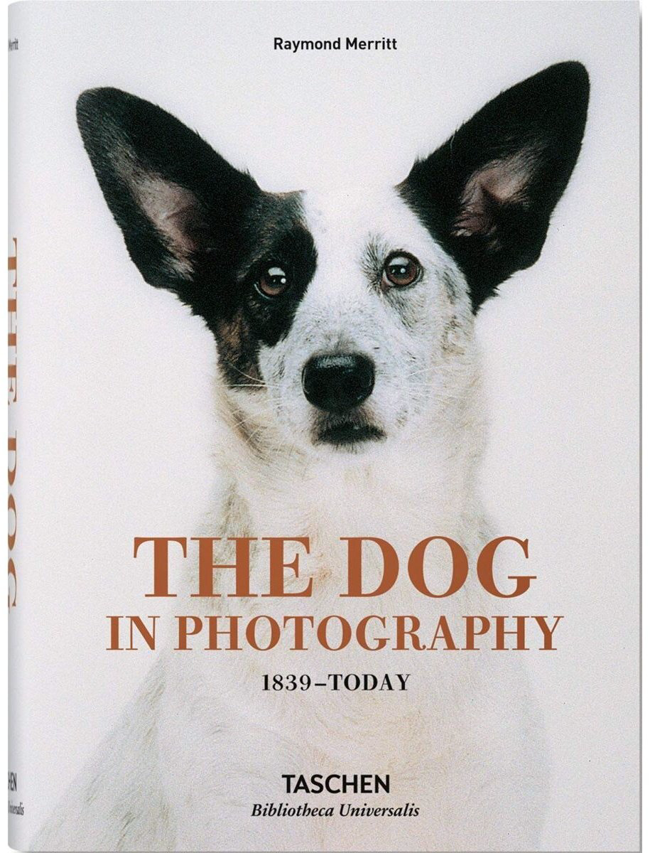 Книга The Dog in Photography 1839-Today купить,NaN