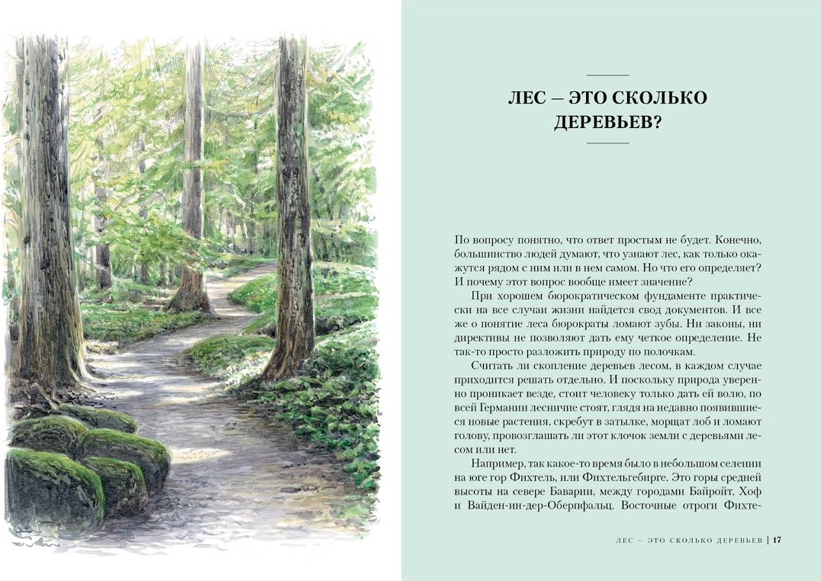 Книга Лохнер А.: Загадки леса: Удивительная жизнь зеленой экосистемы планеты купить,NaN