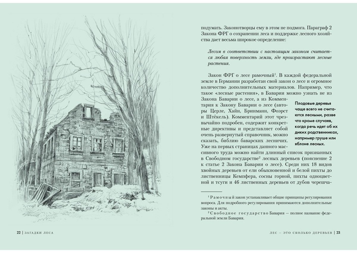 Книга Лохнер А.: Загадки леса: Удивительная жизнь зеленой экосистемы планеты купить,NaN