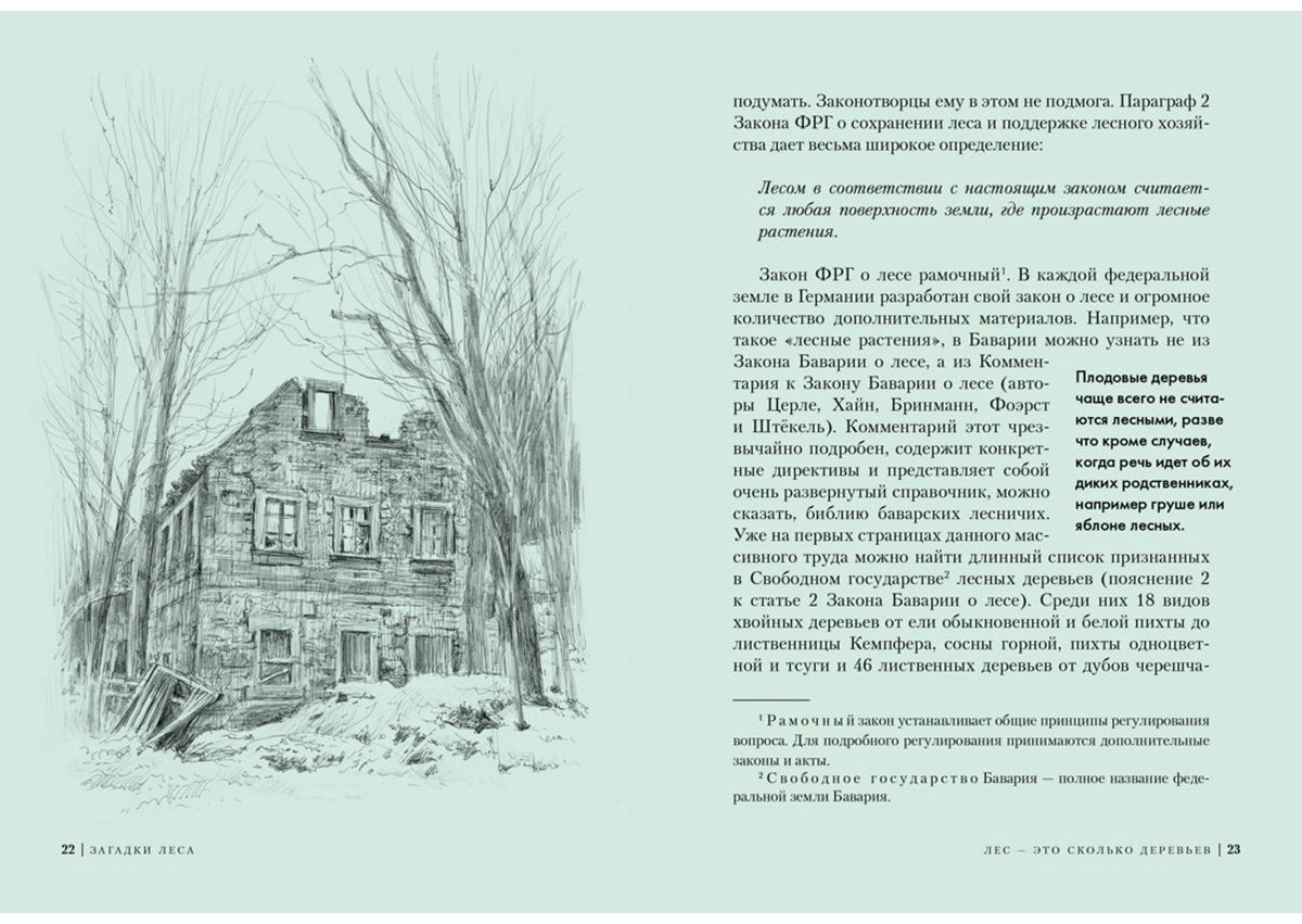 Книга Лохнер А.: Загадки леса: Удивительная жизнь зеленой экосистемы планеты купить,NaN