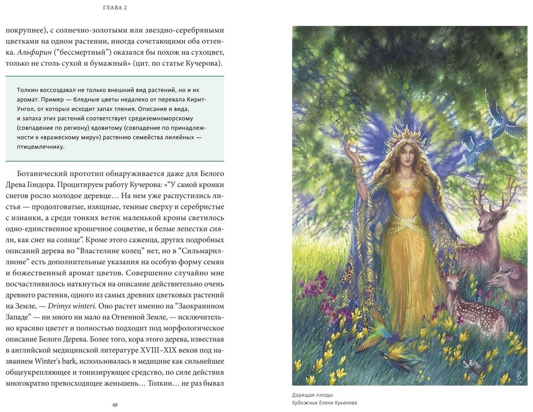 Книга Баркова А. Л.: Мифология Толкина. От эльфов и хоббитов до Нуменора и Ока Саурона купить,NaN
