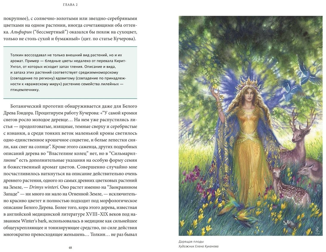 Книга Баркова А. Л.: Мифология Толкина. От эльфов и хоббитов до Нуменора и Ока Саурона купить,NaN