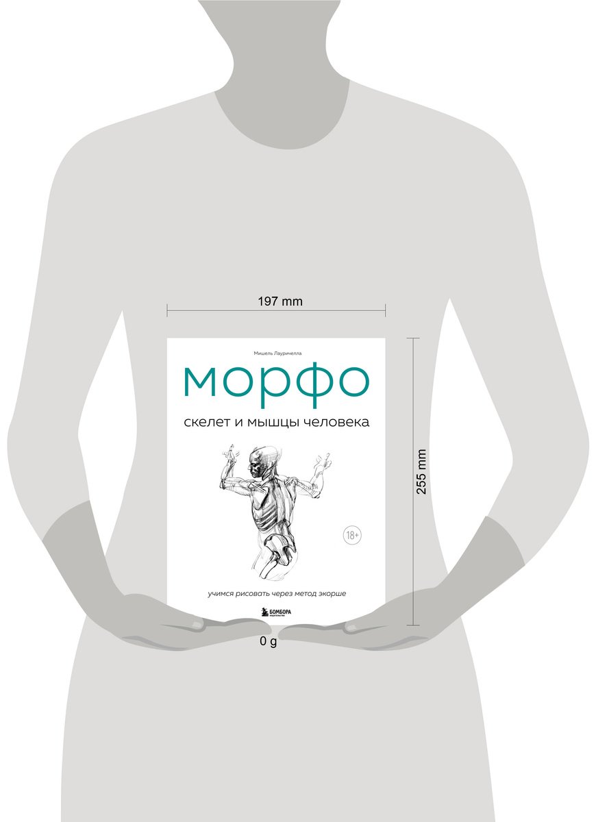 Книга Лауричелла М.: МОРФО. Скелет и мышцы человека. Анатомия для художников купить,NaN