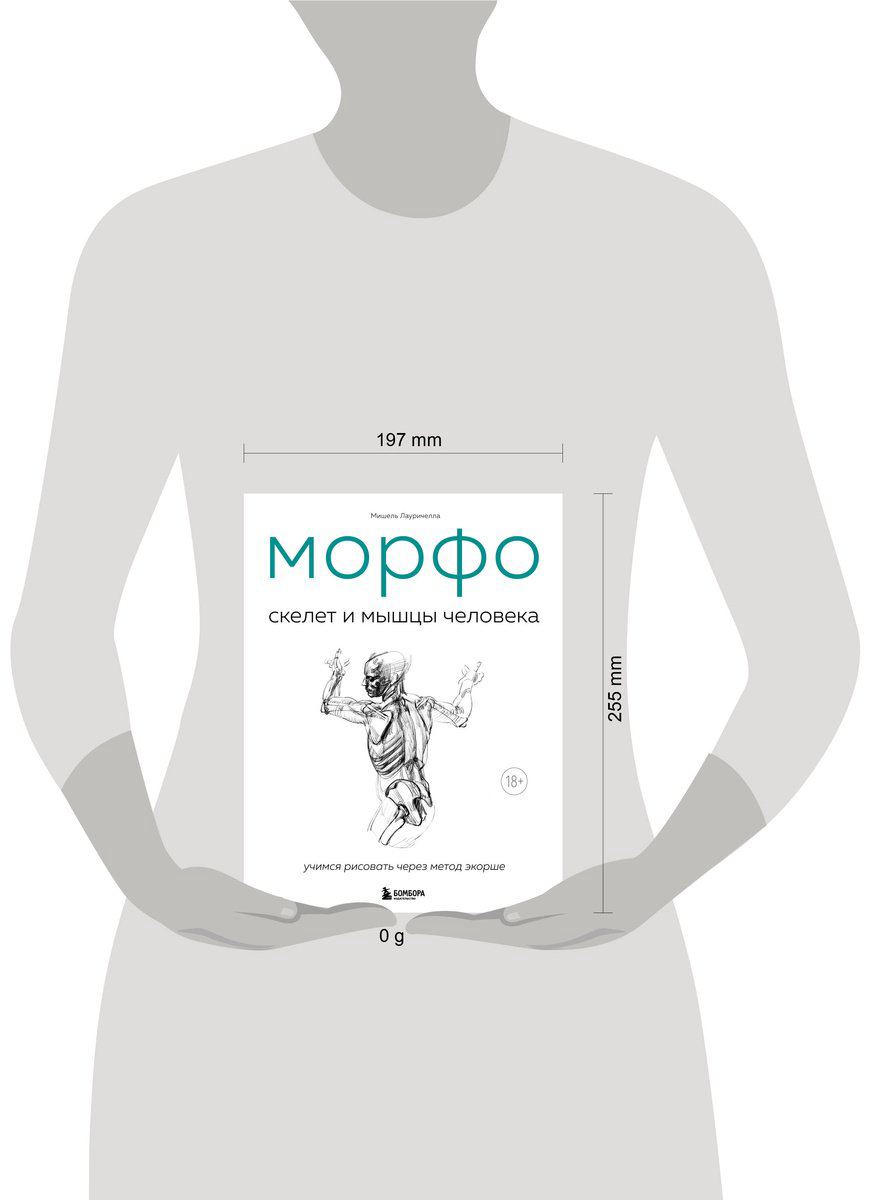 Книга Лауричелла М.: МОРФО. Скелет и мышцы человека. Анатомия для художников купить,NaN