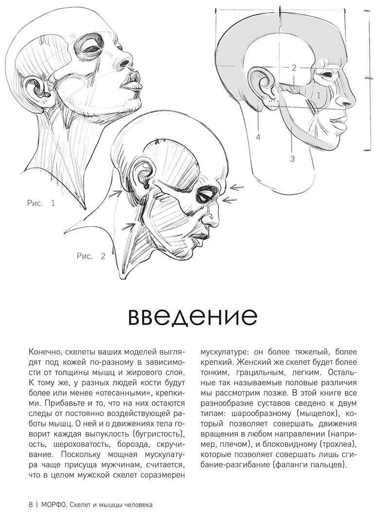 Книга Лауричелла М.: МОРФО. Скелет и мышцы человека. Анатомия для художников купить,NaN