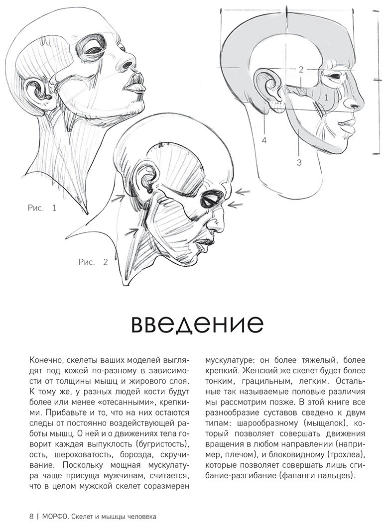 Книга Лауричелла М.: МОРФО. Скелет и мышцы человека. Анатомия для художников купить,NaN