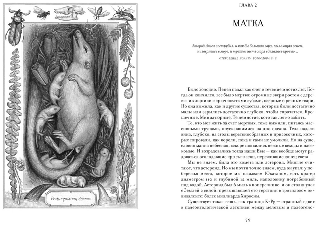 Книга Бохэннон К.: ЕВА. История эволюции женского тела. История человечества купить,NaN