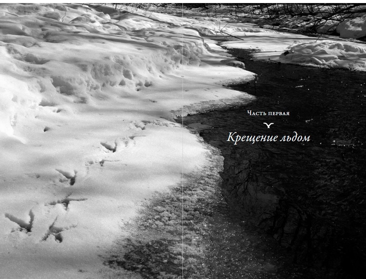 Книга Без автора: Слат Дж.: Совы во льдах: Как спасали самого большого филина в мире купить,NaN
